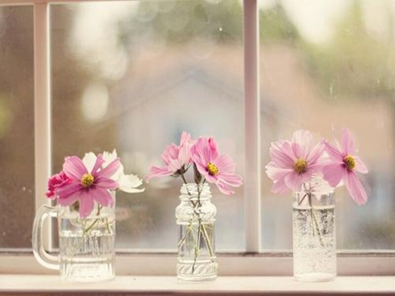 Pink Flowers in Vases — Serene