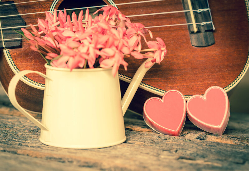 Pink Flowers in Watering Can — Romantic