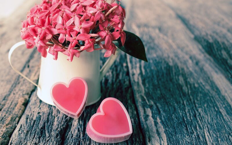 Pink Flowers in White Pitcher — Romantic, Photograph