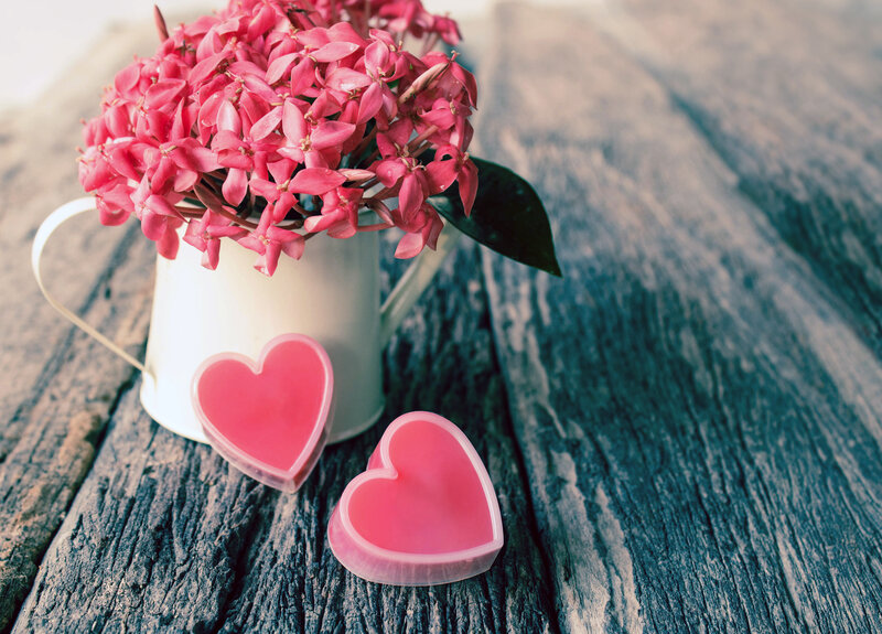 Pink Flowers in White Pitcher — Romantic