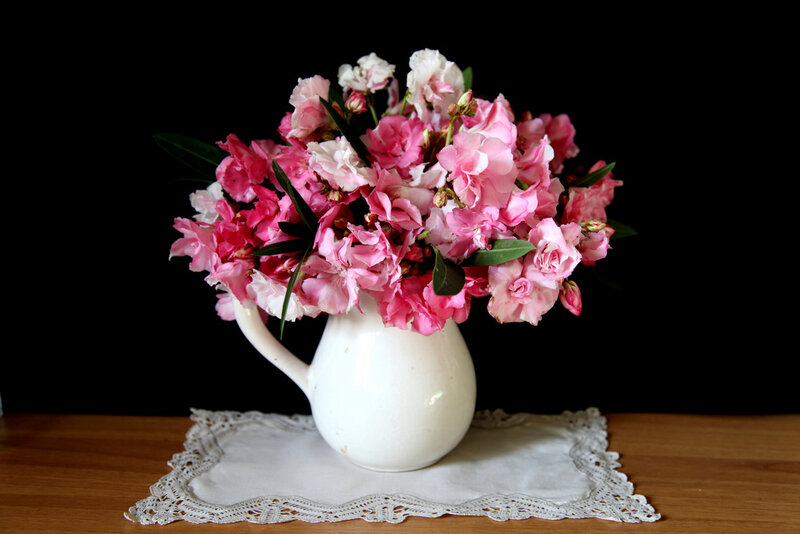 Pink Flowers in White Pitcher