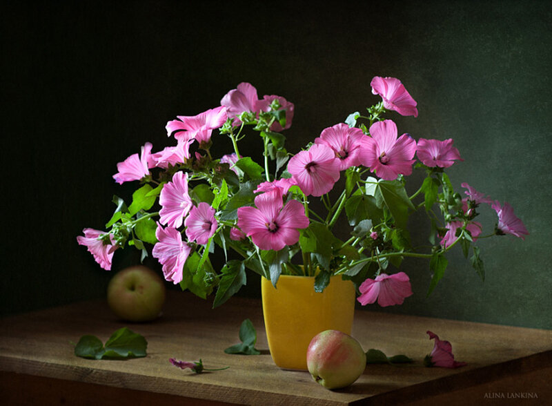 Pink Flowers in Yellow Vase