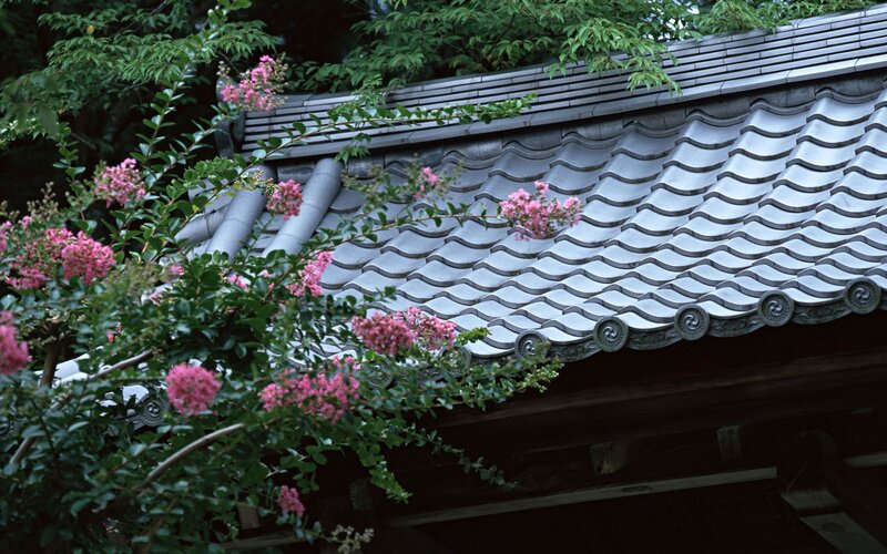 Pink flowers on a tiled roof
