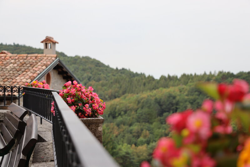 Pink Flowers on Balcony — Serene