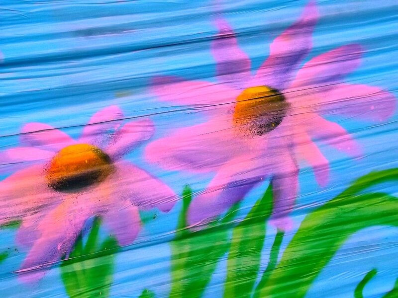 Pink Flowers on Blue — Calm