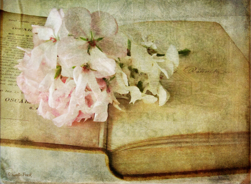 Pink Flowers on Book