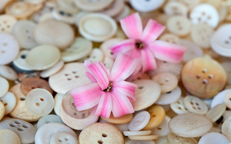 Pink Flowers on Buttons