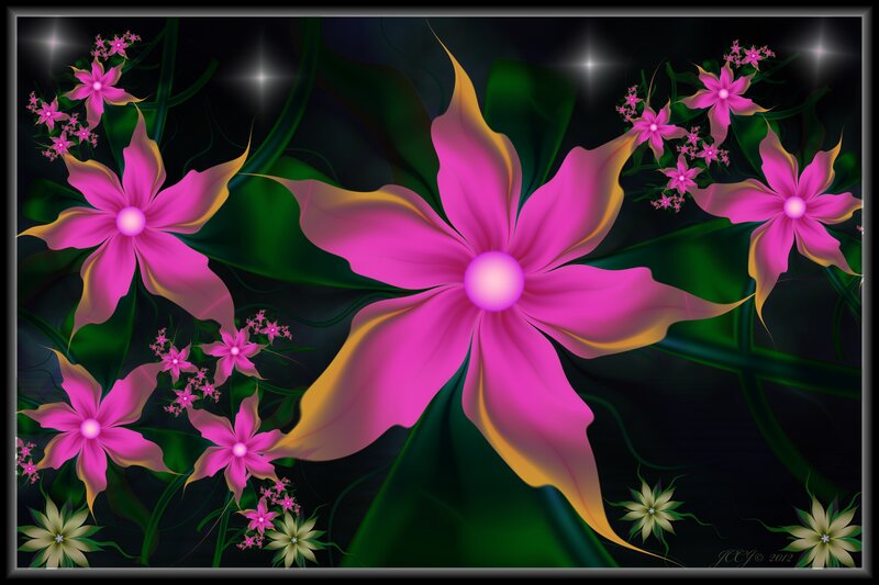 Pink Flowers on Dark Background