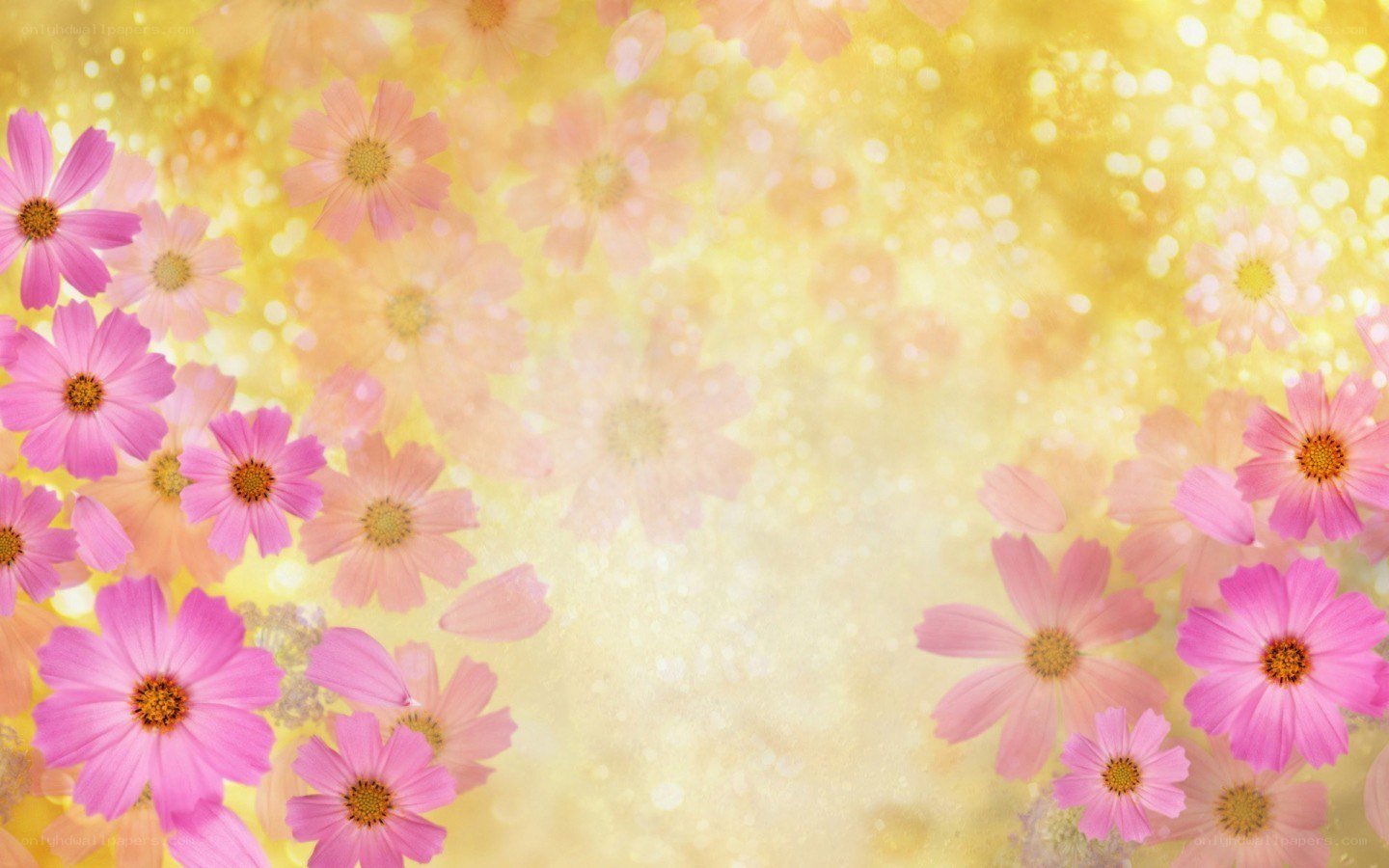 pink flowers on golden background