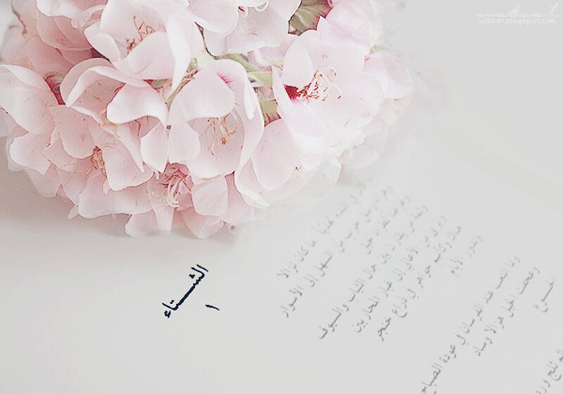 Pink Flowers on Paper