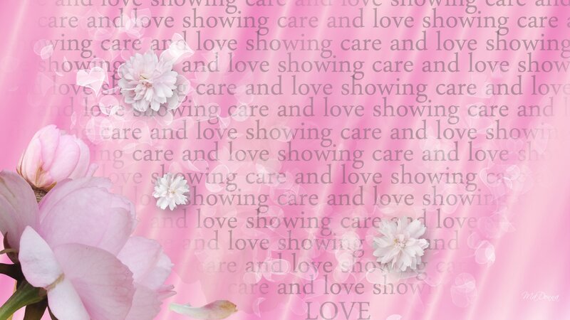 Pink Flowers on Pink Background — Serene