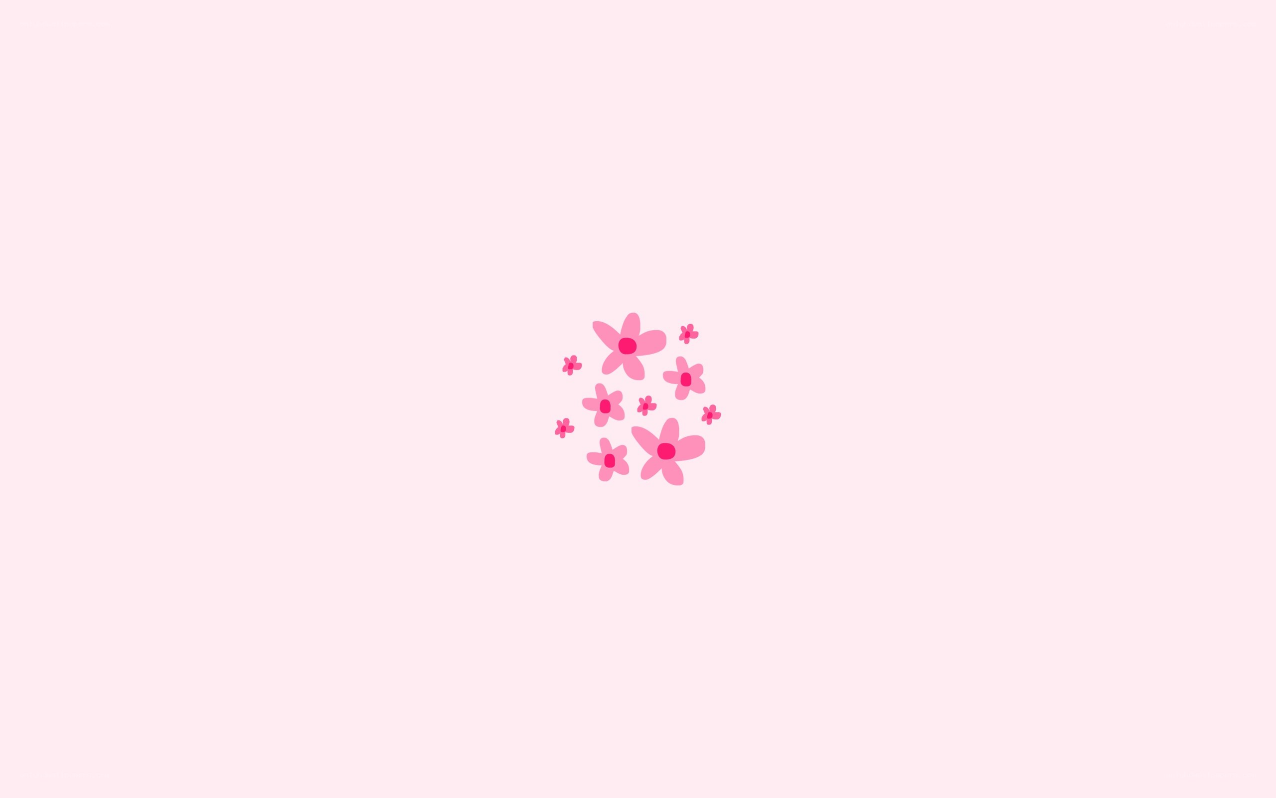 pink flowers on pink background