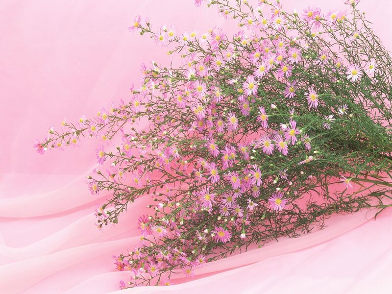 Pink flowers on pink fabric