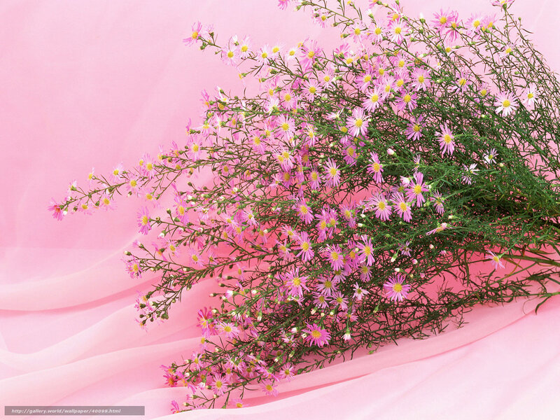 Pink flowers on pink fabric