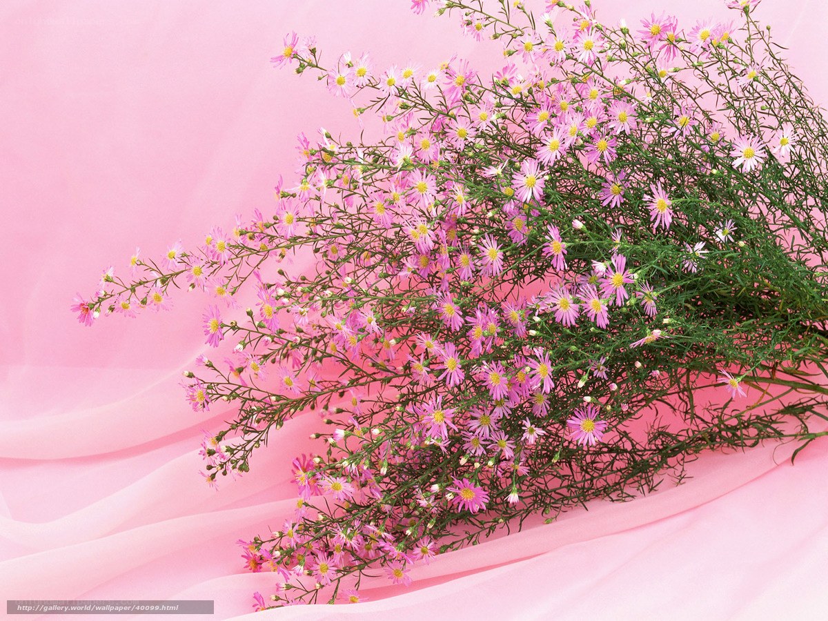 Pink flowers on pink fabric