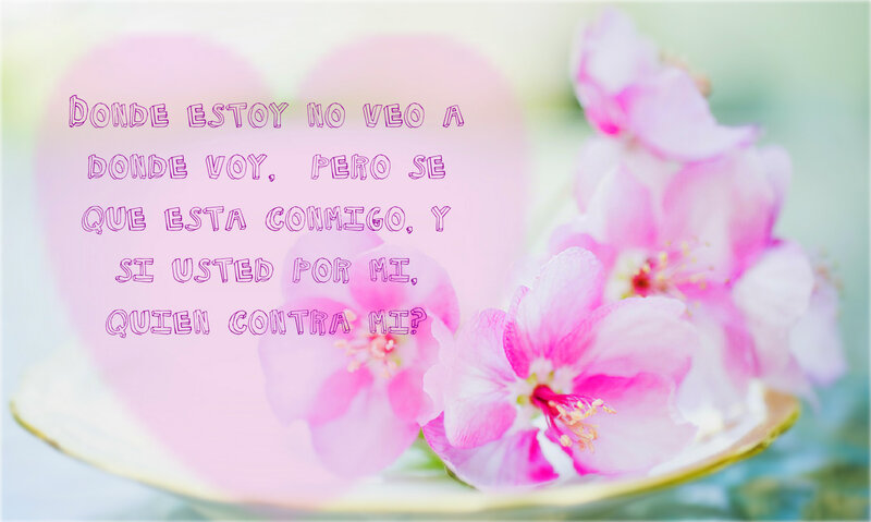 Pink Flowers on Plate