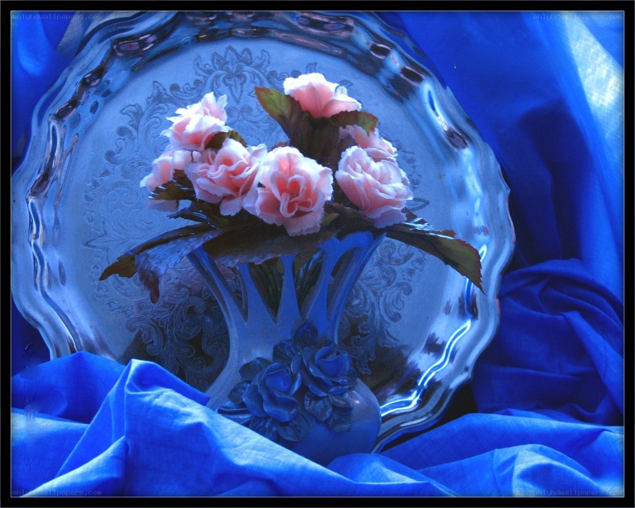 Pink flowers on silver tray