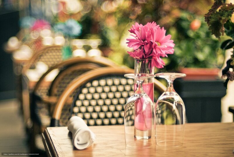 Pink Flowers on Table — Calm