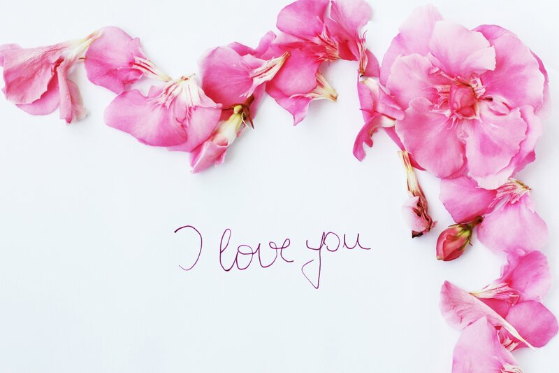 Pink Flowers on White — Romantic