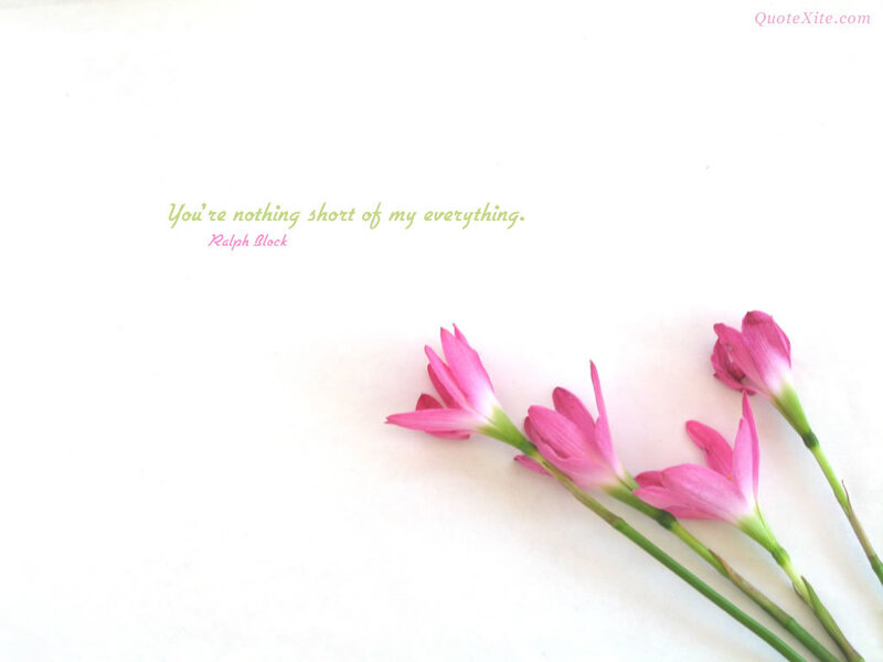 Pink Flowers on White