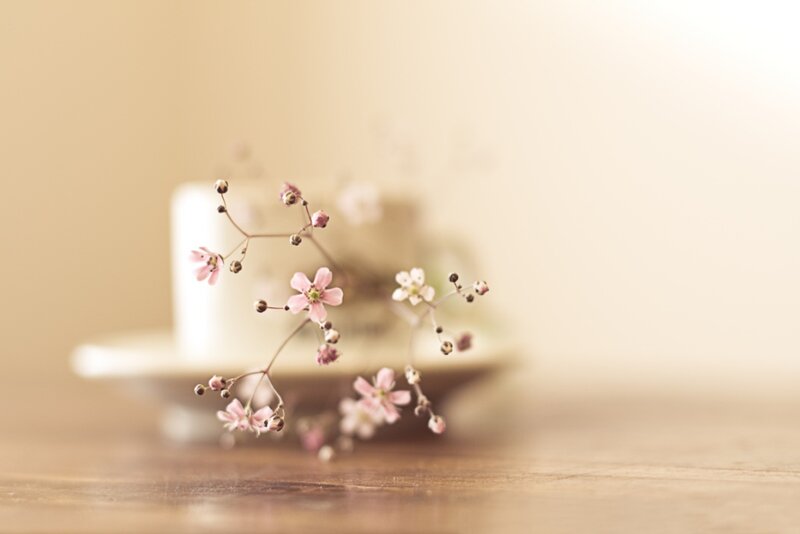 Pink Flowers on Wood — Brown, Serene