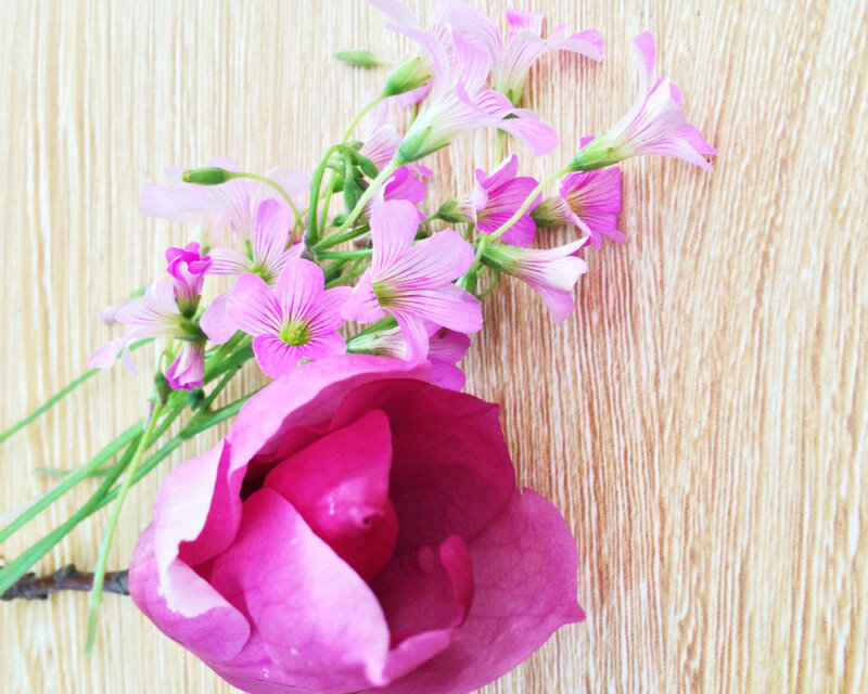 Pink Flowers on Wood — Calm