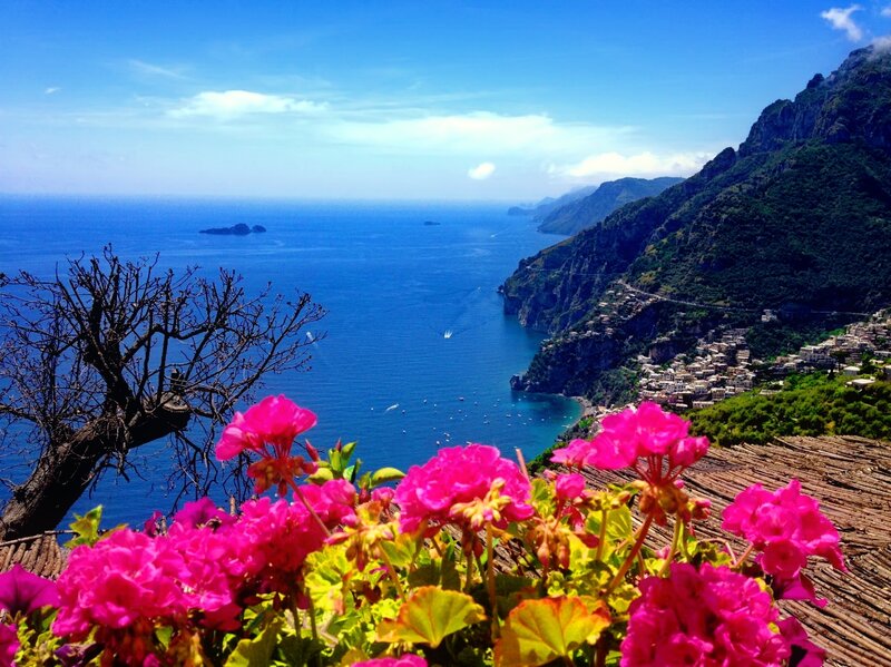 Pink Flowers Overlooking Sea — Blue