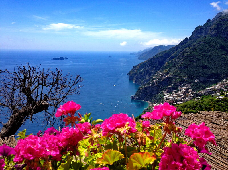 Pink Flowers Overlooking Sea