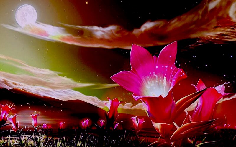 Pink Flowers under Moon
