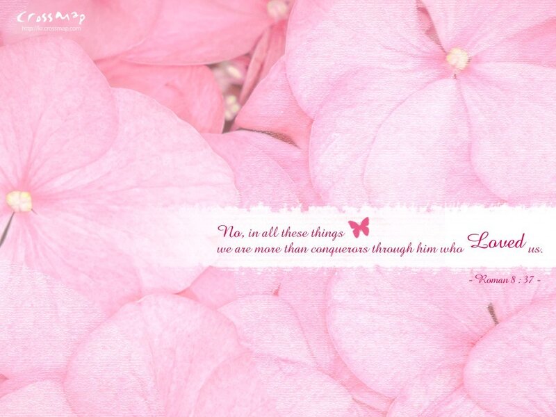 pink flowers with bible verse