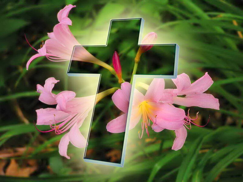 Pink Flowers with Cross