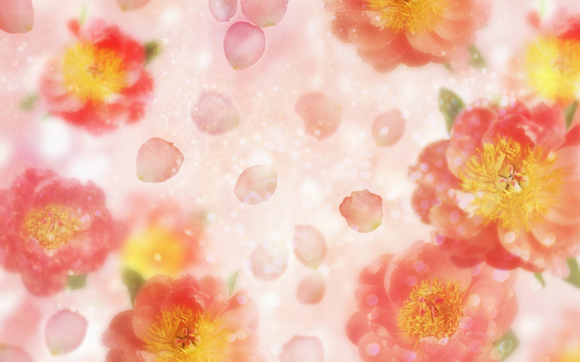 Pink flowers with falling petals