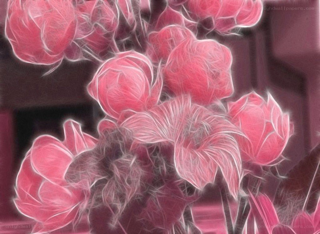 Pink flowers with glowing effect