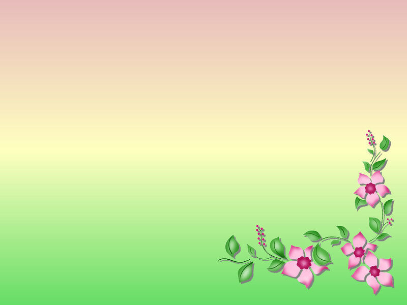 Pink Flowers with Green Leaves — Calm