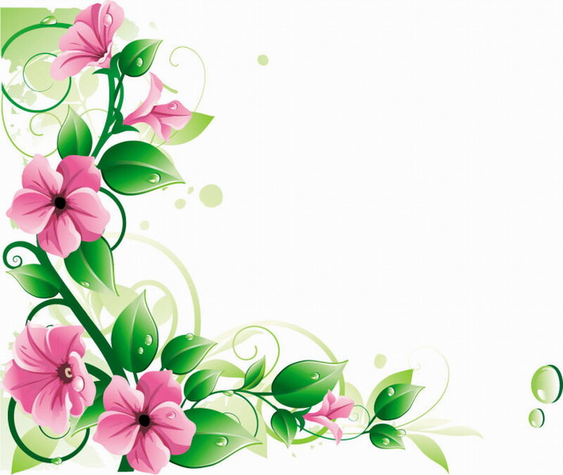 Pink Flowers with Green Leaves — Calm, Vector Art