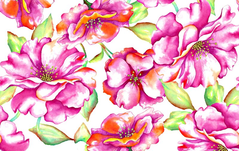 Pink Flowers with Green Leaves — Vibrant, Illustration