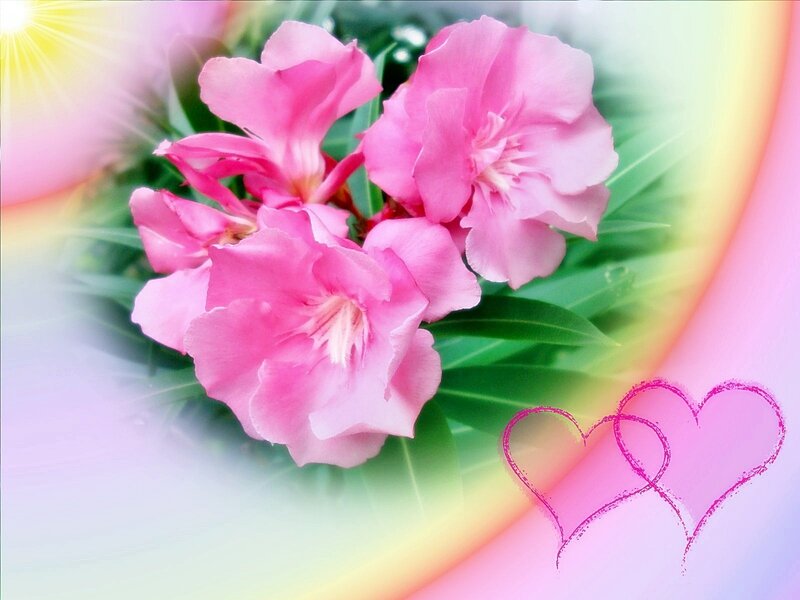 Pink flowers with hearts