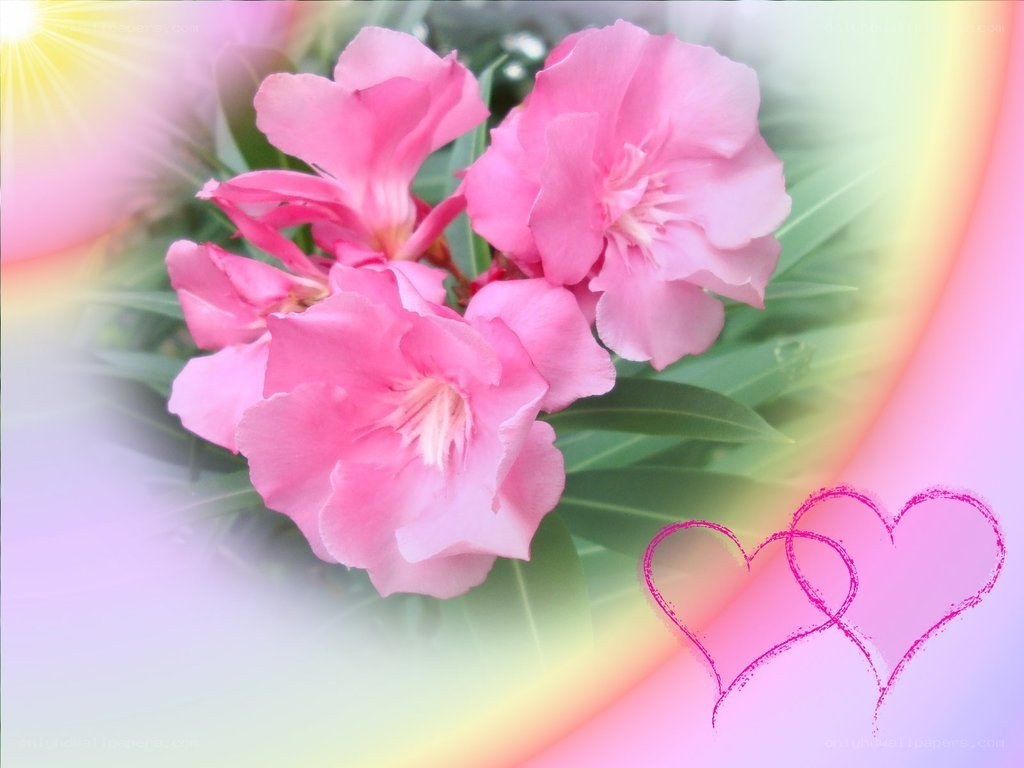 Pink flowers with hearts