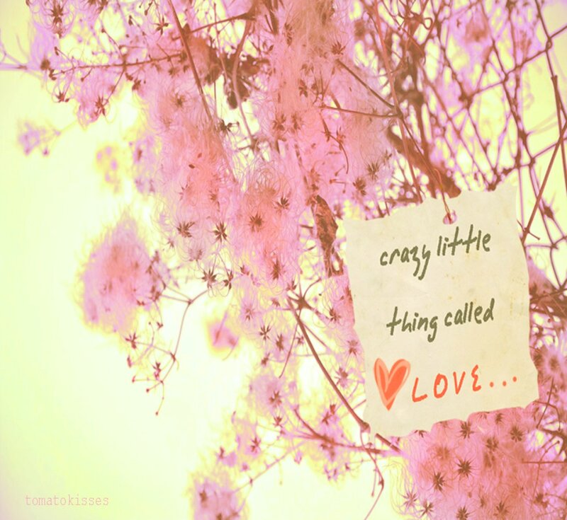 Pink Flowers with Note