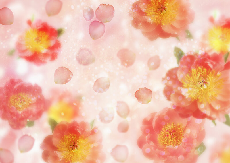 Pink flowers with petals