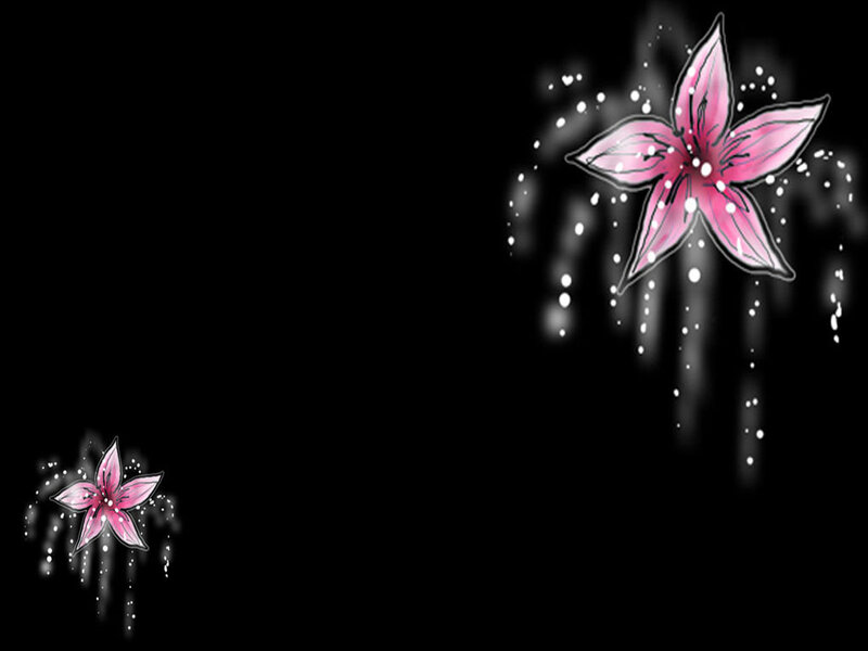 Pink Flowers with Sparkles — Black