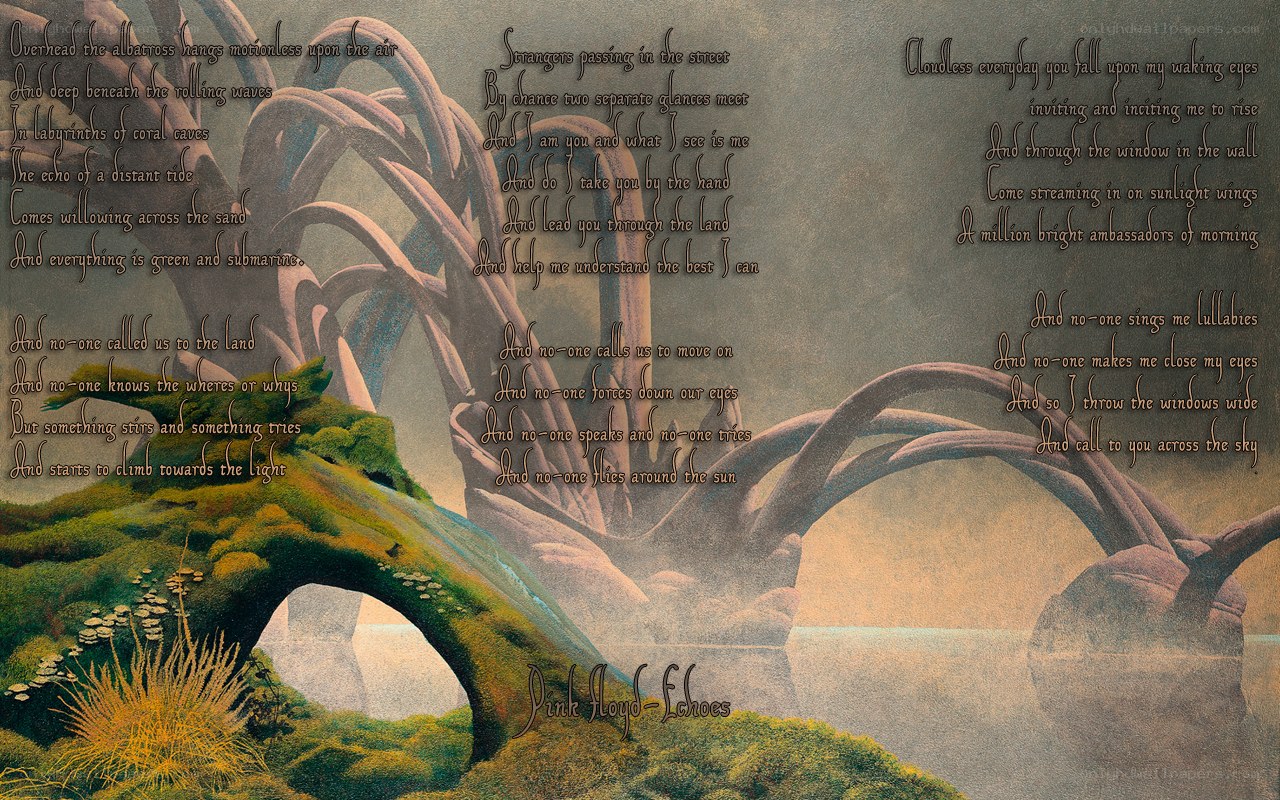 Pink Floyd - Echoes artwork
