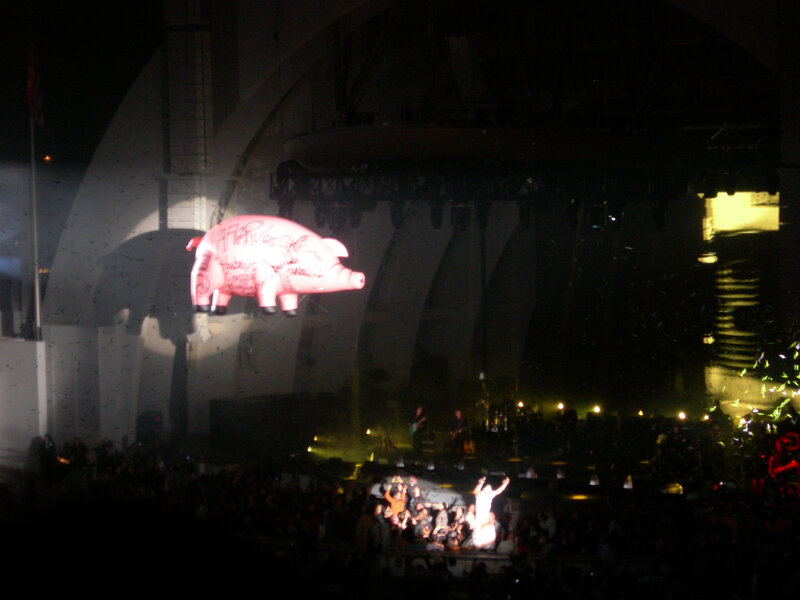 Pink Floyd pig at concert