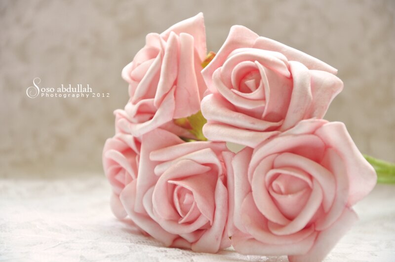 Pink Foam Roses — Serene