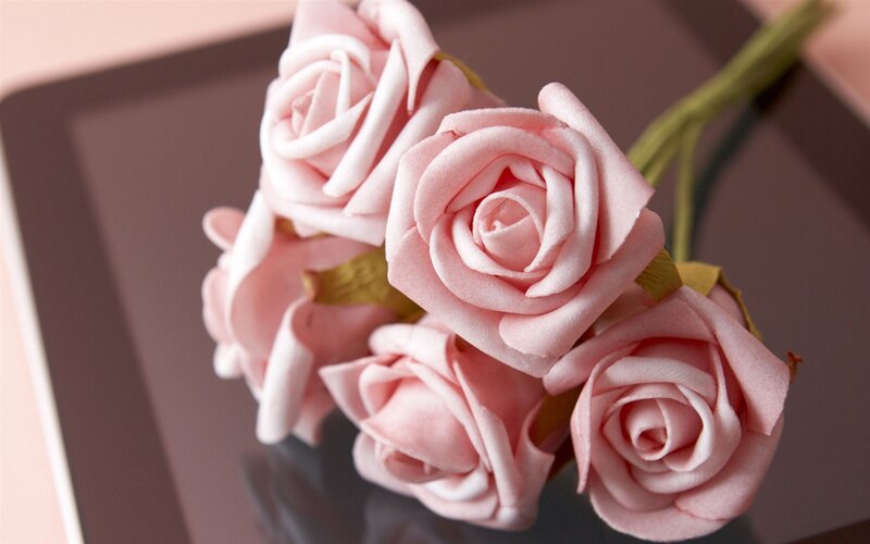 Pink Foam Roses