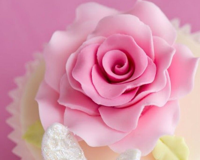 Pink Fondant Rose