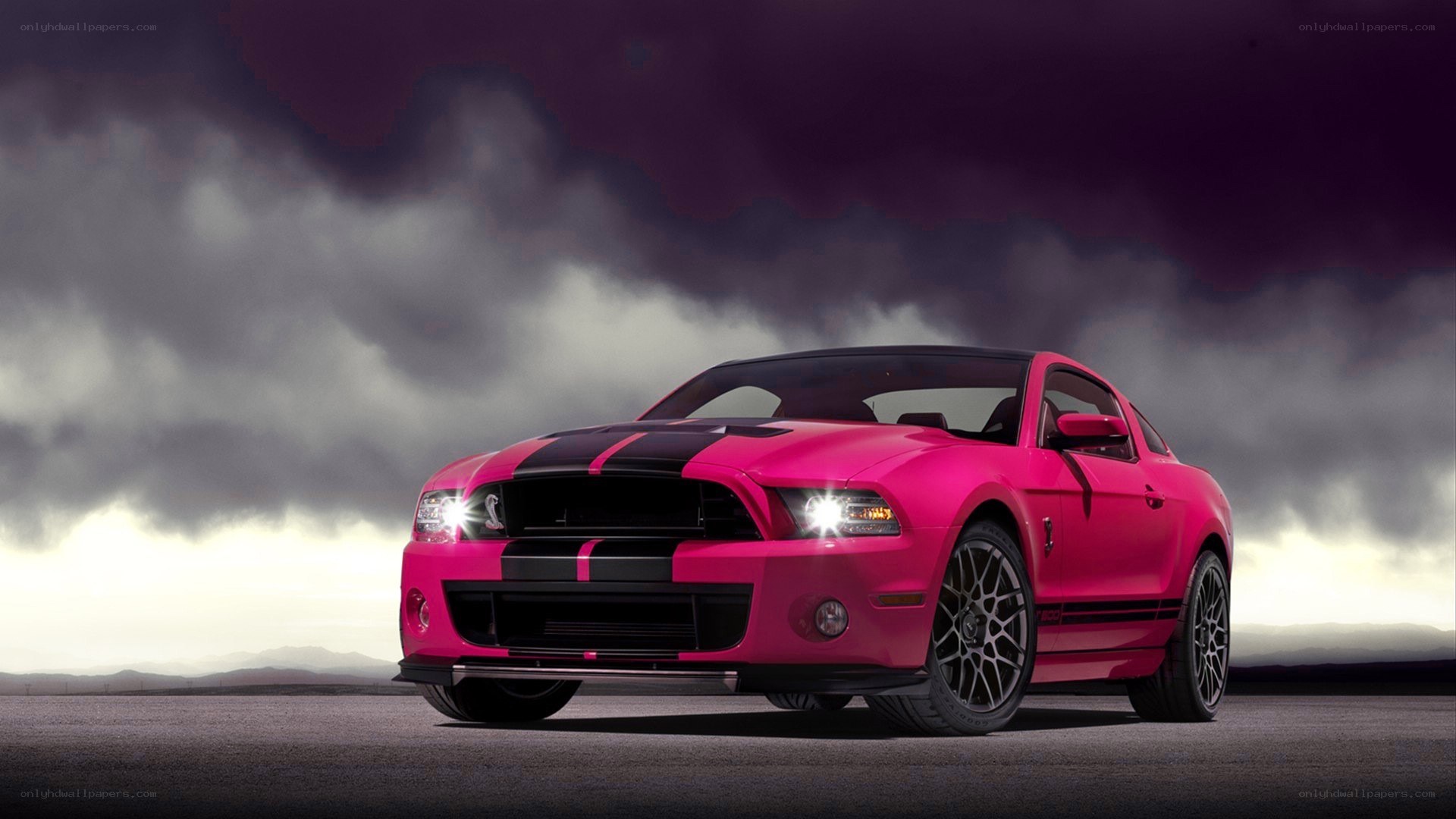 pink ford shelby mustang