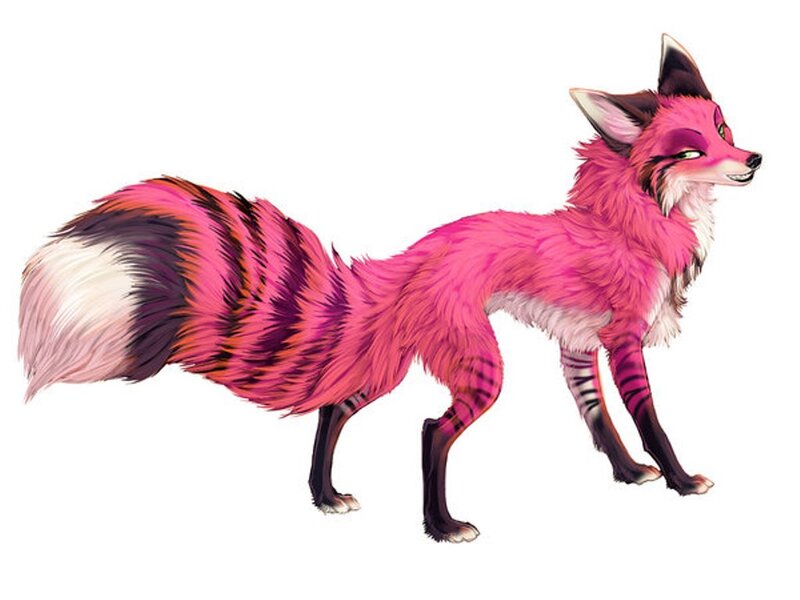 Pink Fox with Striped Tail