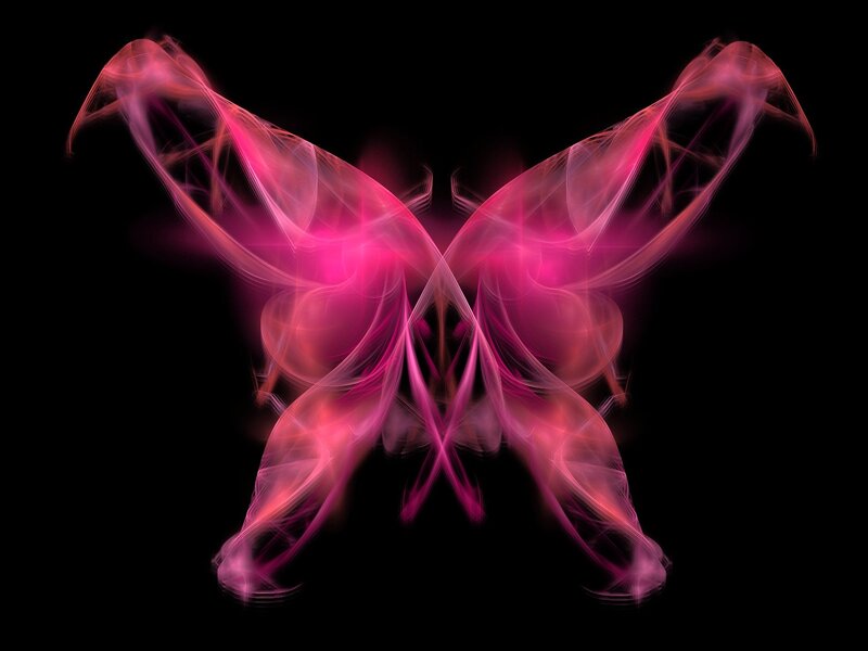 Pink fractal butterfly