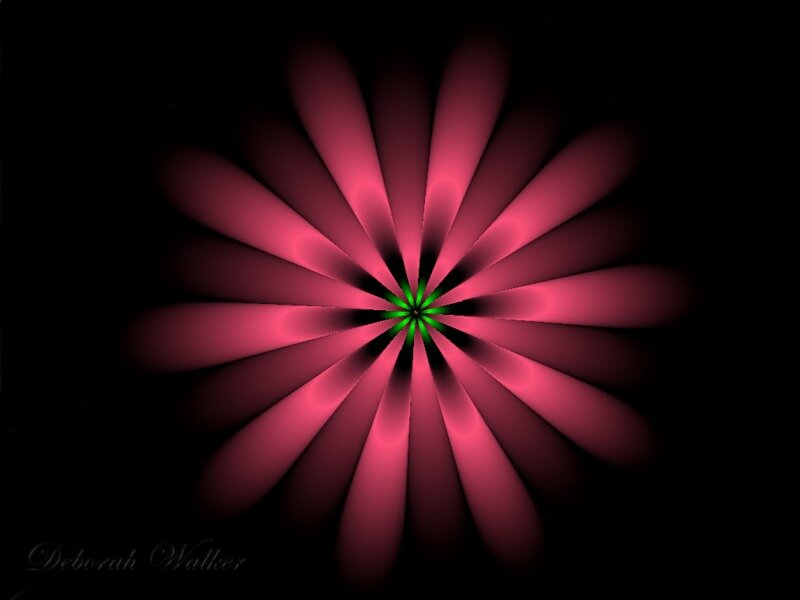 Pink Fractal Flower — Abstract
